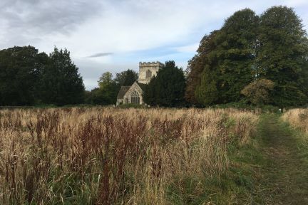 Church From the Field