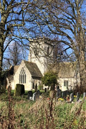 Church through the trees