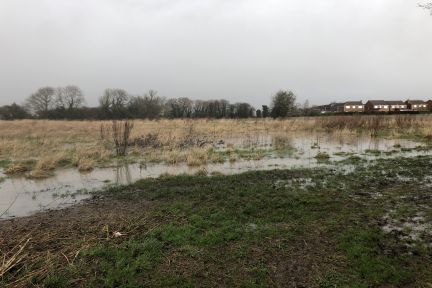 Very Wet Field